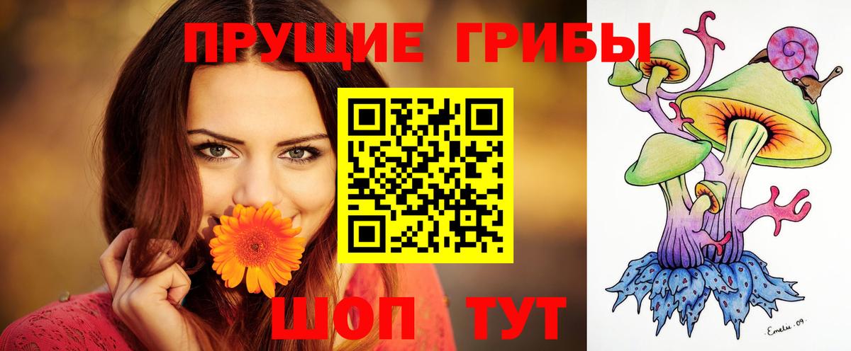 Котовск  Галлюциногенные грибы мухоморы  Вход с VPN 